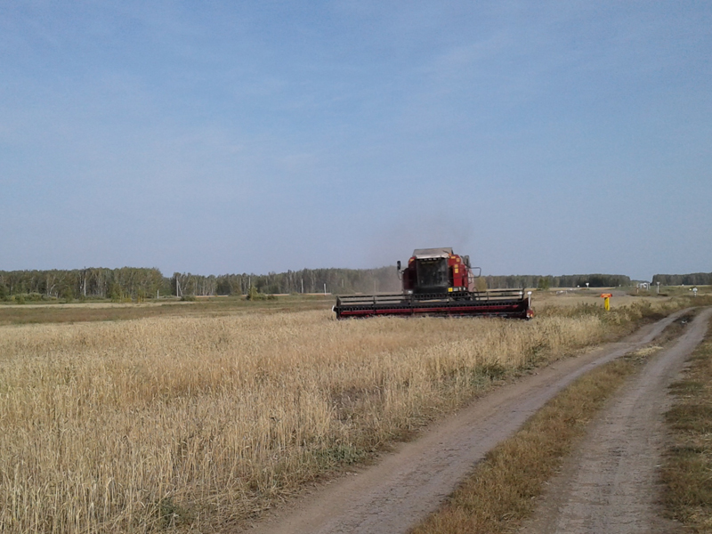 На полях Омской области продолжают гореть комбайны #Новости #Общество #Омск