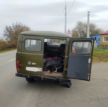 Еще один житель Омской области не удержался от соблазна застрелить лося #Новости #Общество #Омск