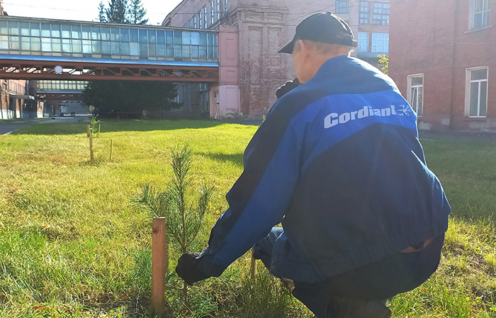 «Омскшина» дала вторую жизнь соснам из Усть-Заостровки #Омск #Общество #Сегодня «Омскшина» дала вторую жизнь соснам из Усть-Заостровки #Омск #Общество #Сегодня