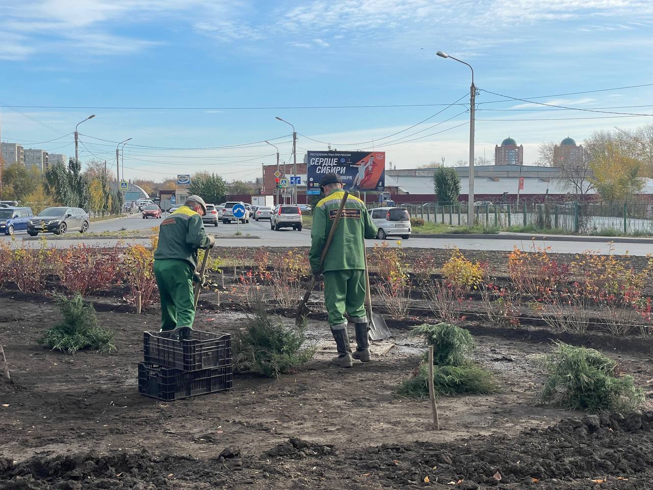 Вчера в Омске высадили больше сотни деревьев #Омск #Общество #Сегодня