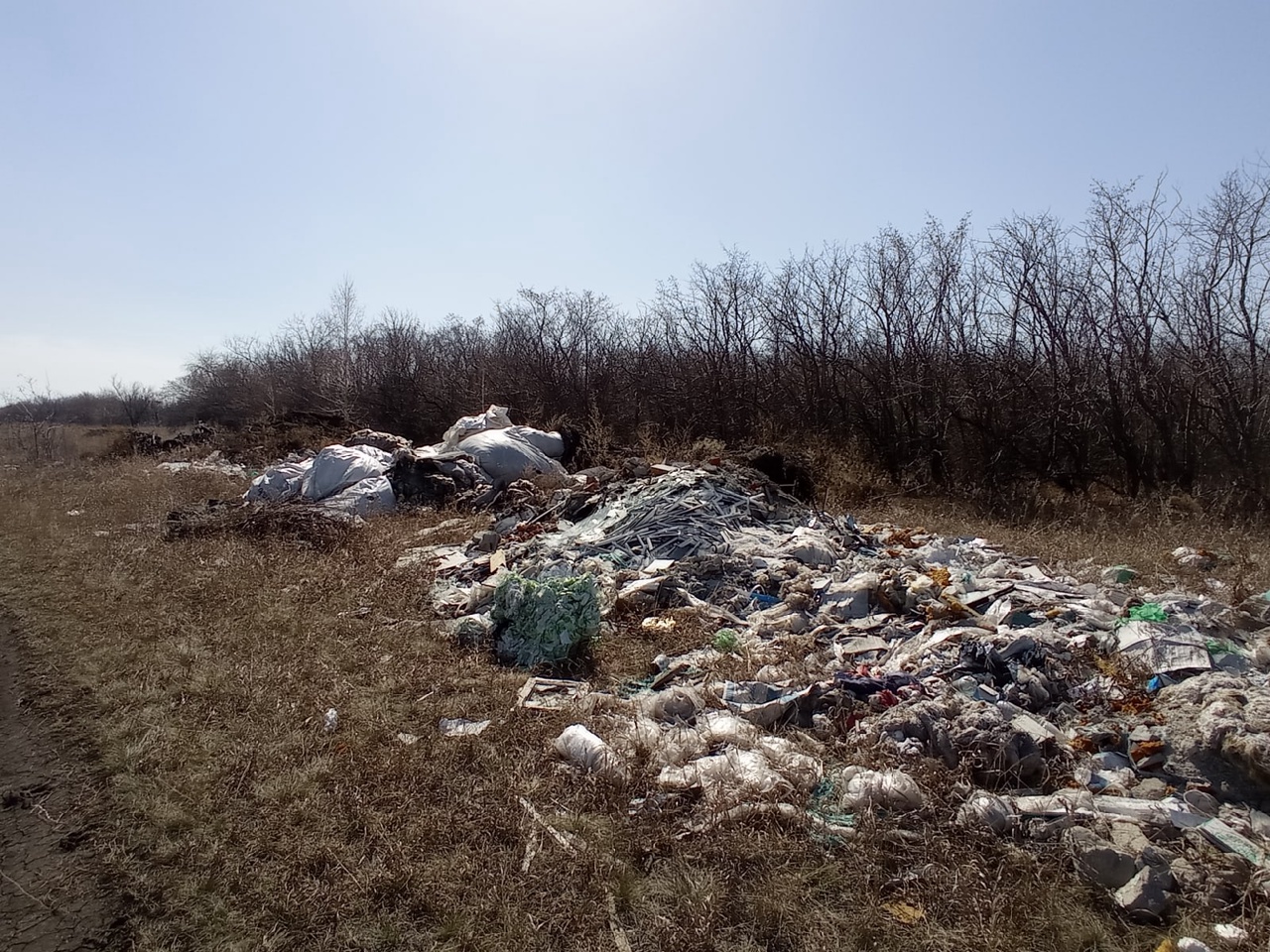 Очередные сельхозземли в Омской области оказались завалены мусором #Новости #Общество #Омск