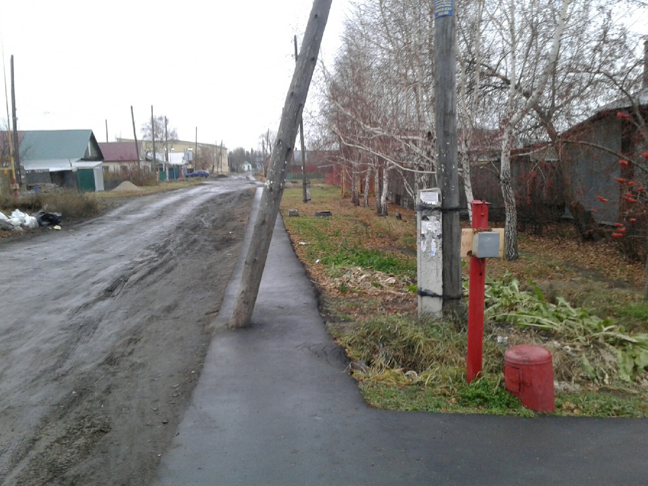 «Омичи должны иметь возможность дойти в туфлях до остановки» #Новости #Общество #Омск