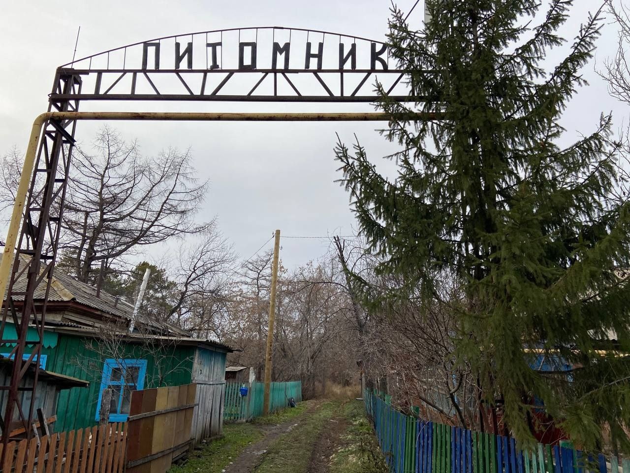 Уникальный дендропарк в Омской области оказался не нужен чиновникам #Новости #Общество #Омск