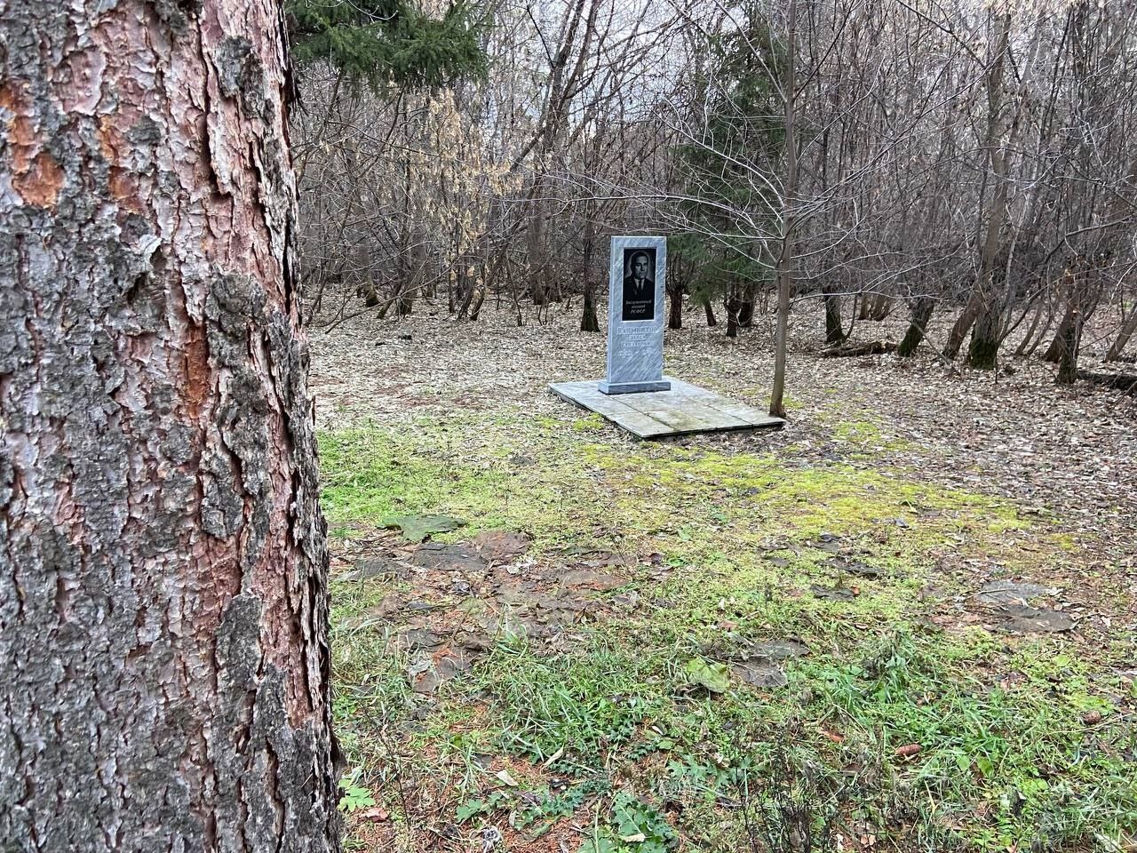 Уникальный дендропарк в Омской области оказался не нужен чиновникам #Новости #Общество #Омск