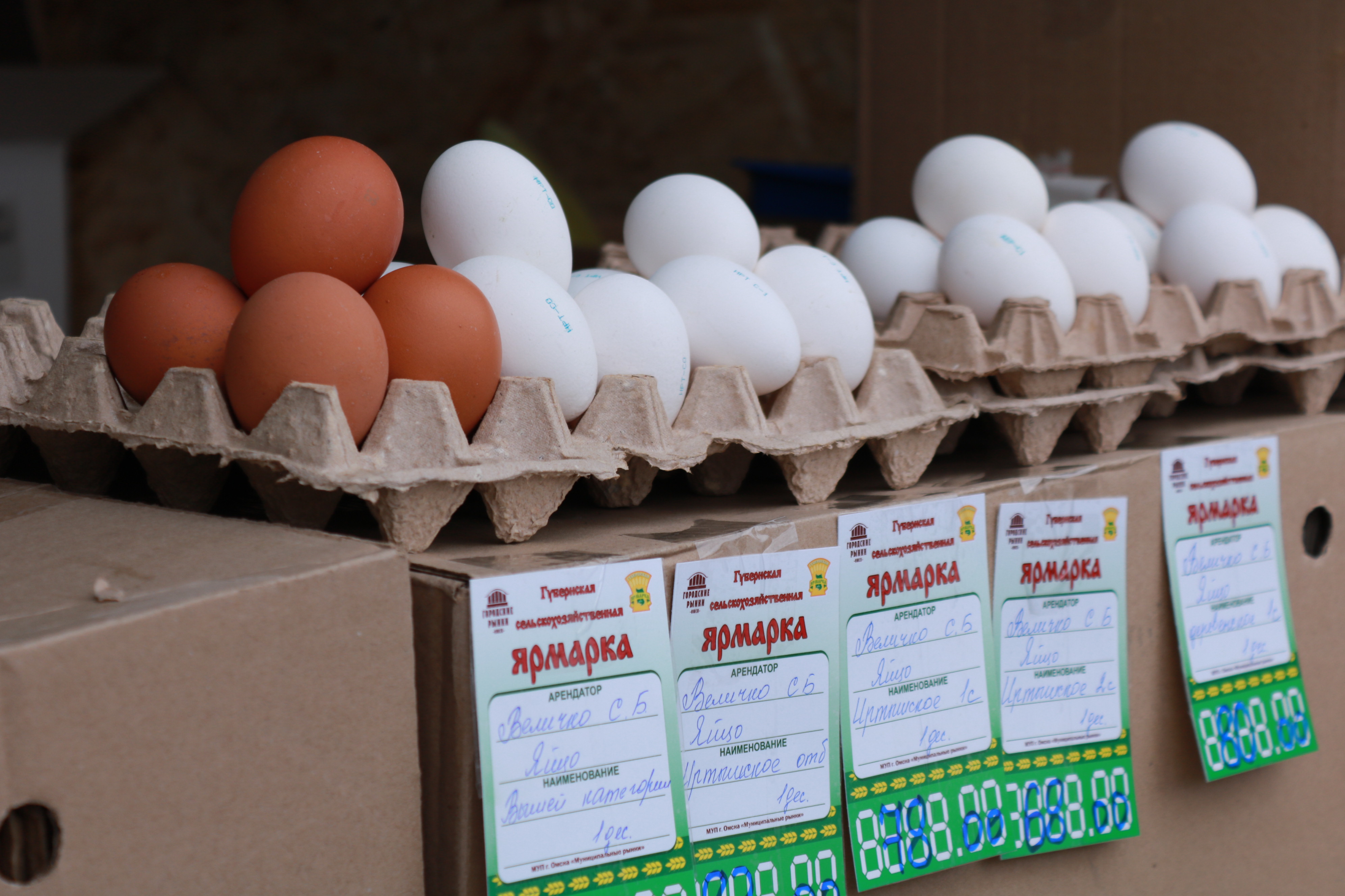 Снизить цены на яйца в России хотят с помощью поставок из Турции