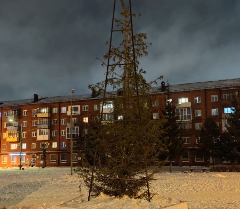 Перед Новым годом в Омске начали устанавливать «лысые» елки #Новости #Общество #Омск